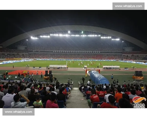 职业联赛全景解析与未来发展趋势深度观察